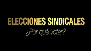 ¿tú por qué irias a votar?